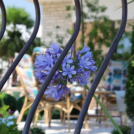 Villa Ratka Апартаменты Трогир